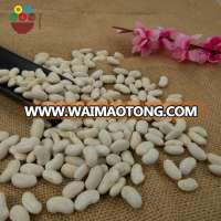 2017 export vacuum packing baishake type medium white kidney bean