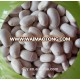 White Kidney Beans New Crop , White Bean