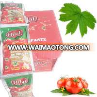 70g pouch tomato paste 22/24 brix hilal brand