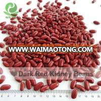 2015 Good Quality Dark Red Kidney Beans For Canning