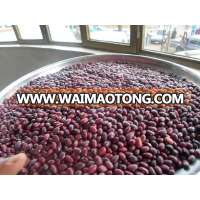 Red Kidney Beans (Phaseolus Vulgaris)